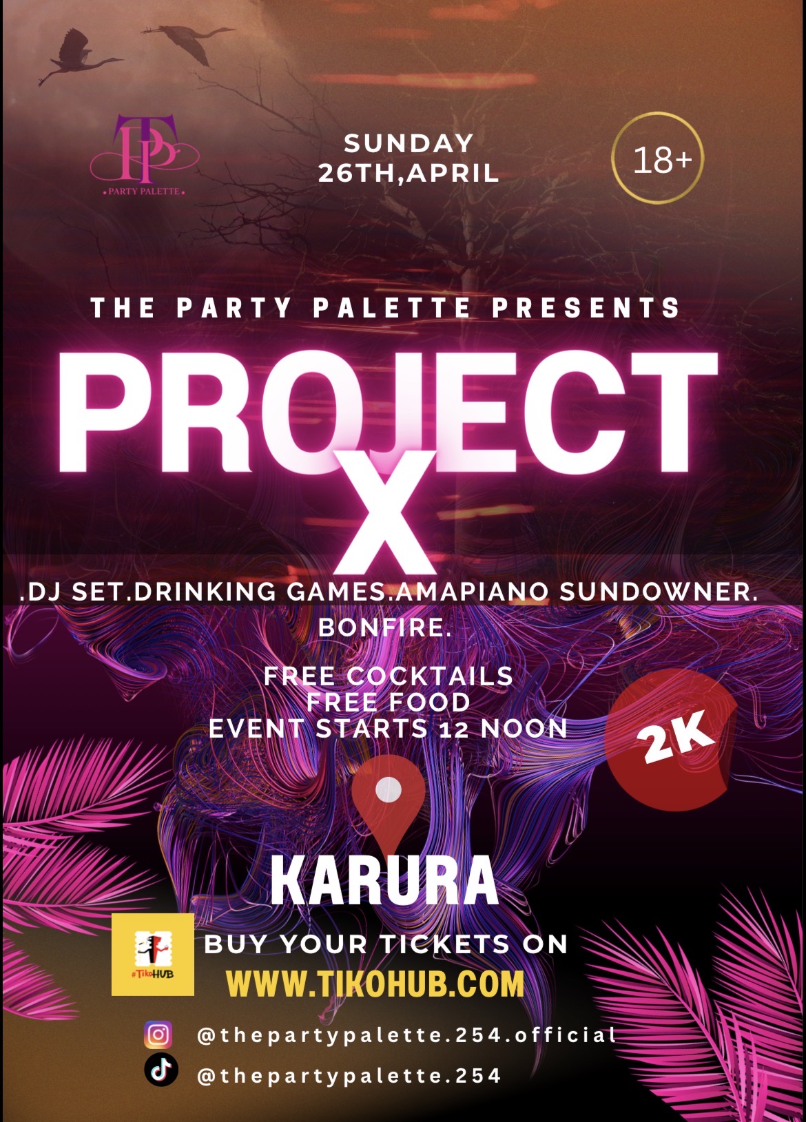 Project X