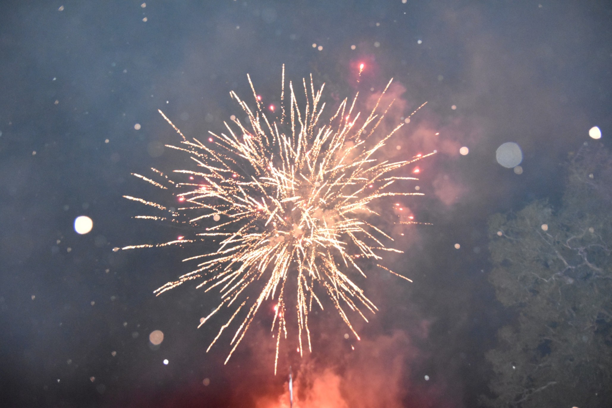 Honey over Thunder: A Night of Curry, Color, and Culture